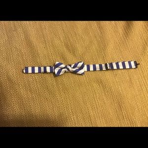 Collard Green Blue and White Bow Tie
